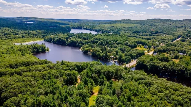 an aerial view of green landscape with trees houses and mountain view