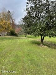 151 Walls Hollow Road Oliver Springs, TN 37840 - Photo 12 of 14 Gallery Image 12