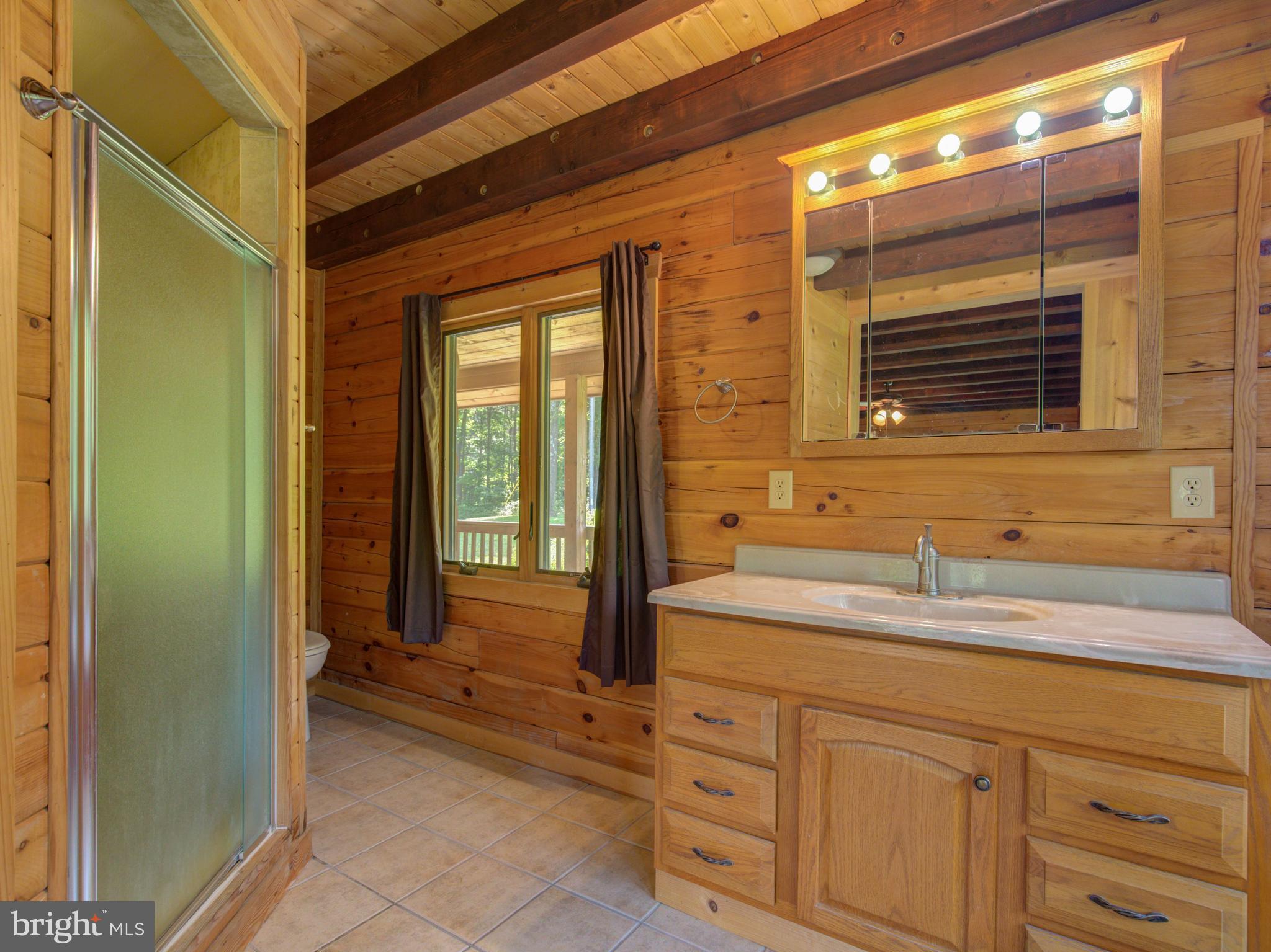 1881 South Timber Ridge Road Cross Junction, VA 22625 - Photo 22 of 30 Bath (Master)