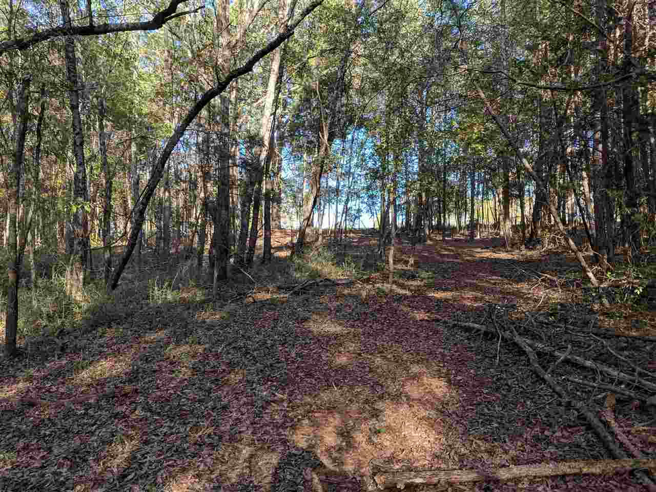 191 Jordan Road Lyman, SC 29365 - Photo 34 of 36 Gallery Image 34