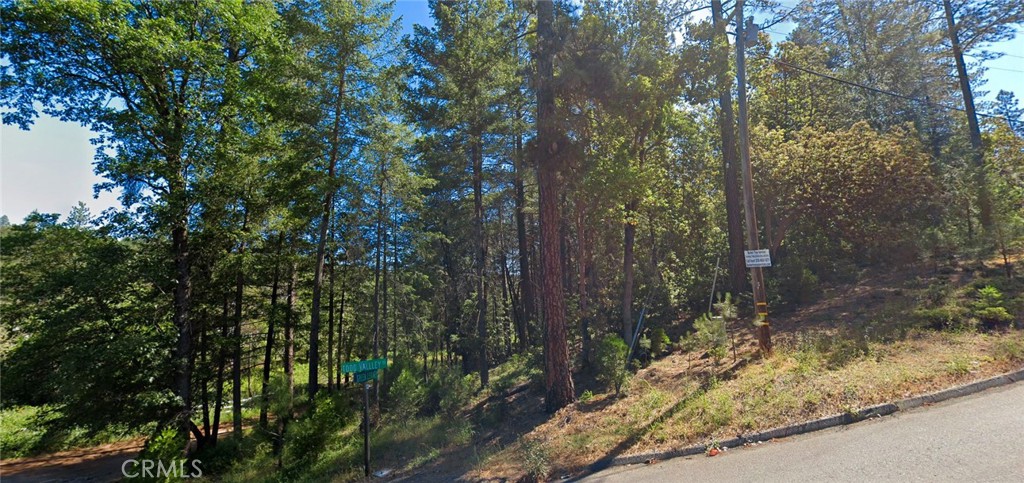 20935 Todd Valley Road Foresthill, CA 95631 - Photo 2 of 3 a view of a yard with large trees