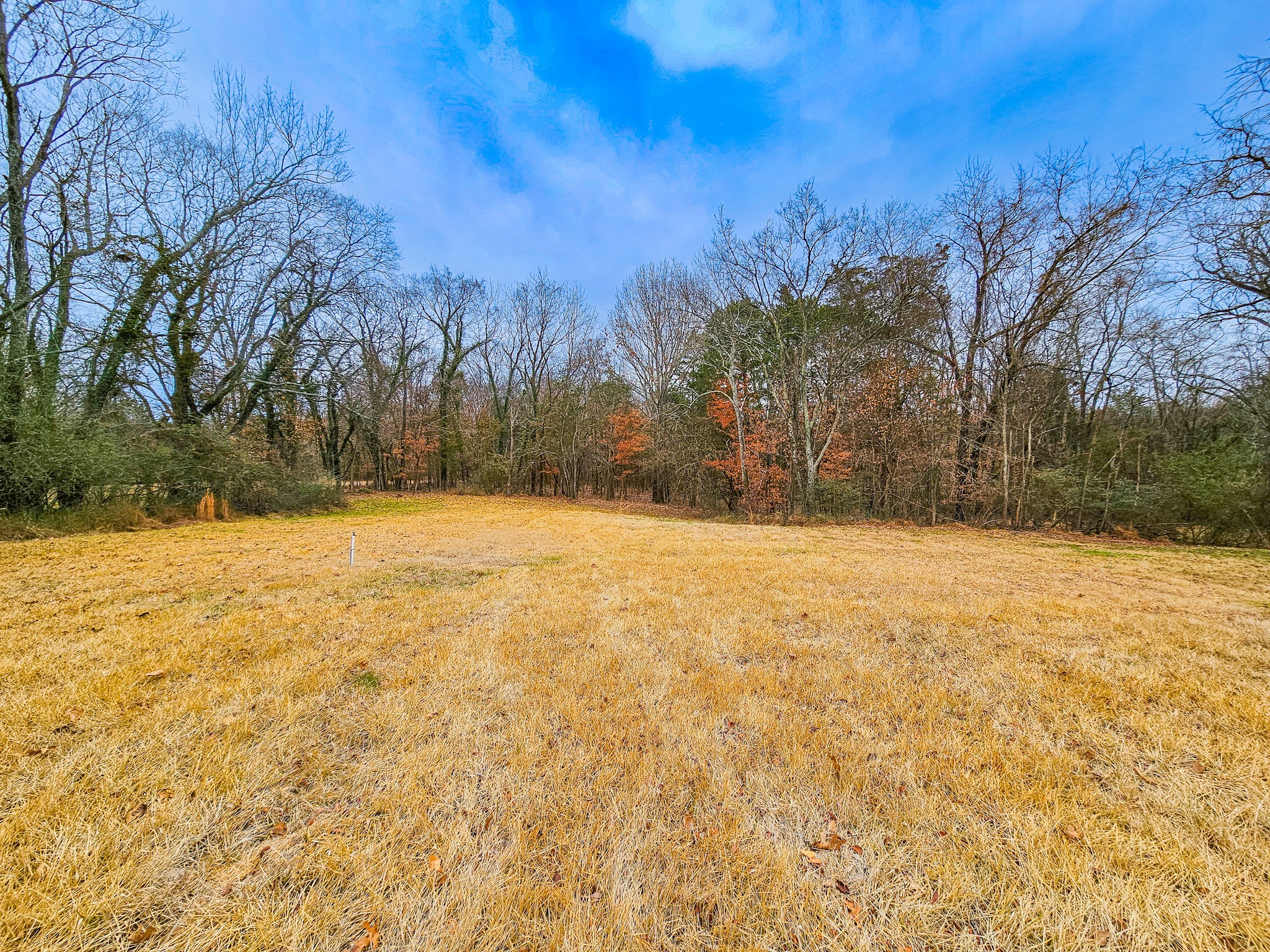 875 Yell Road Lewisburg, TN 37091 - Photo 33 of 39 Gallery Image 33