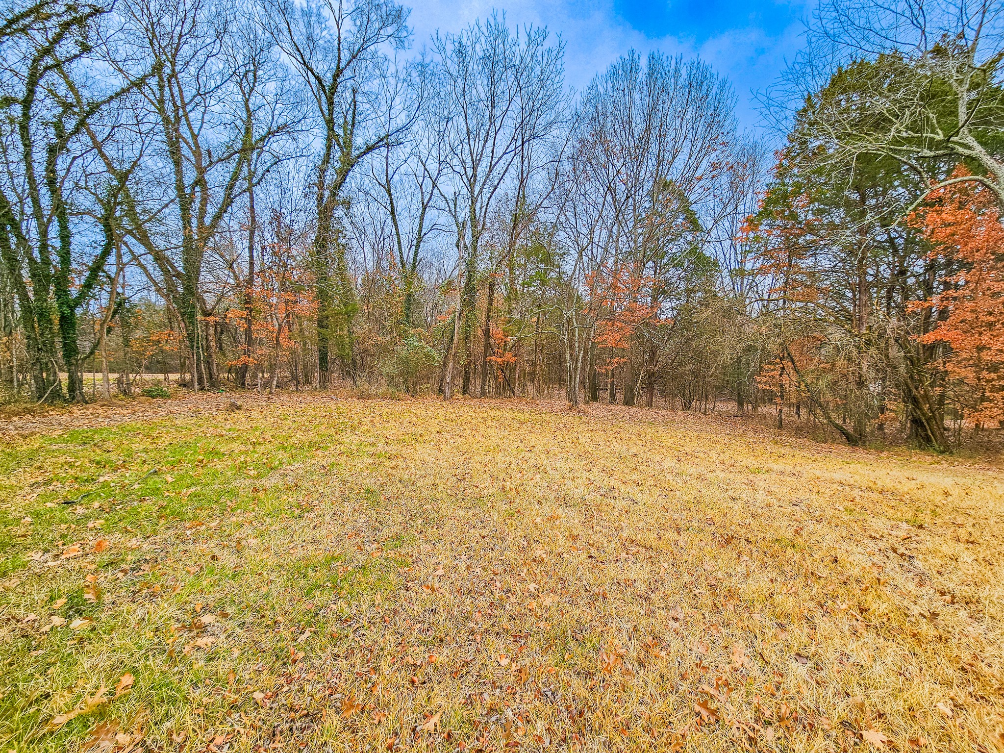875 Yell Road Lewisburg, TN 37091 - Photo 36 of 39 Gallery Image 36