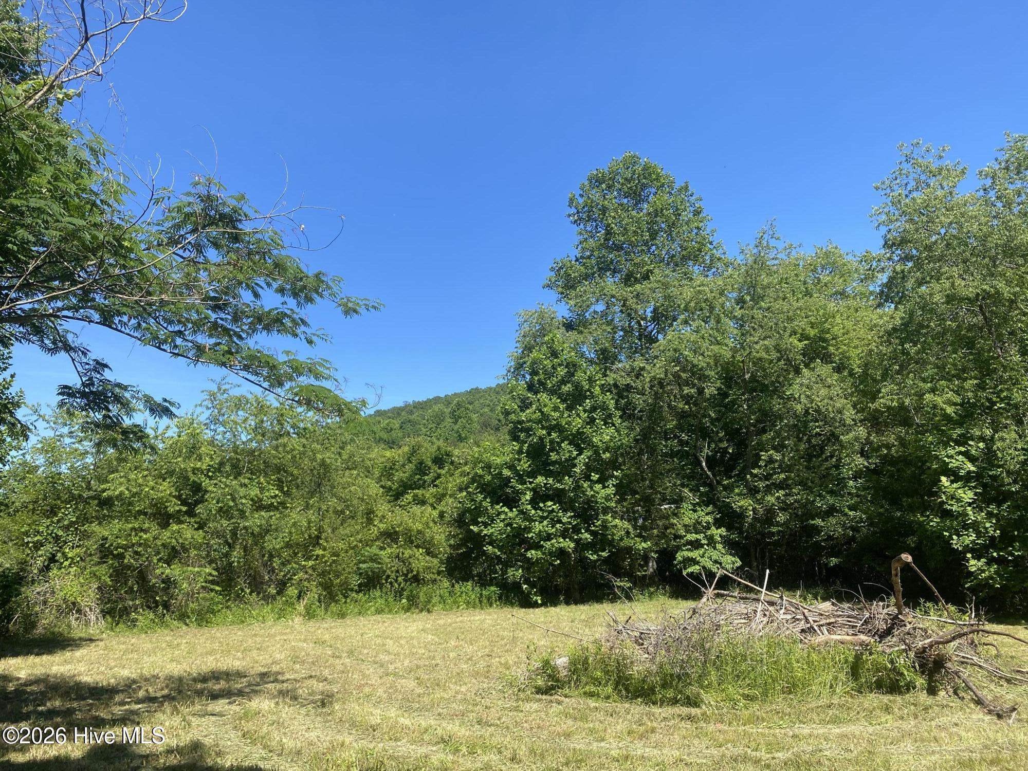 Lot 7 Running Bear Road Murphy, NC 28906 - Photo 3 of 14