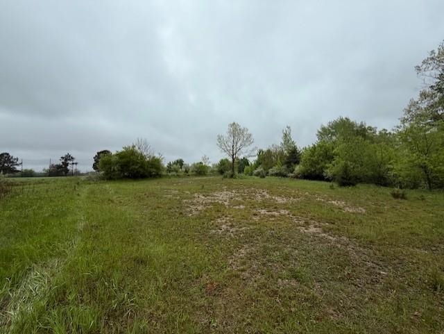 Tbd Prospect St. Louis, MI 48880 - Photo 19 of 23
