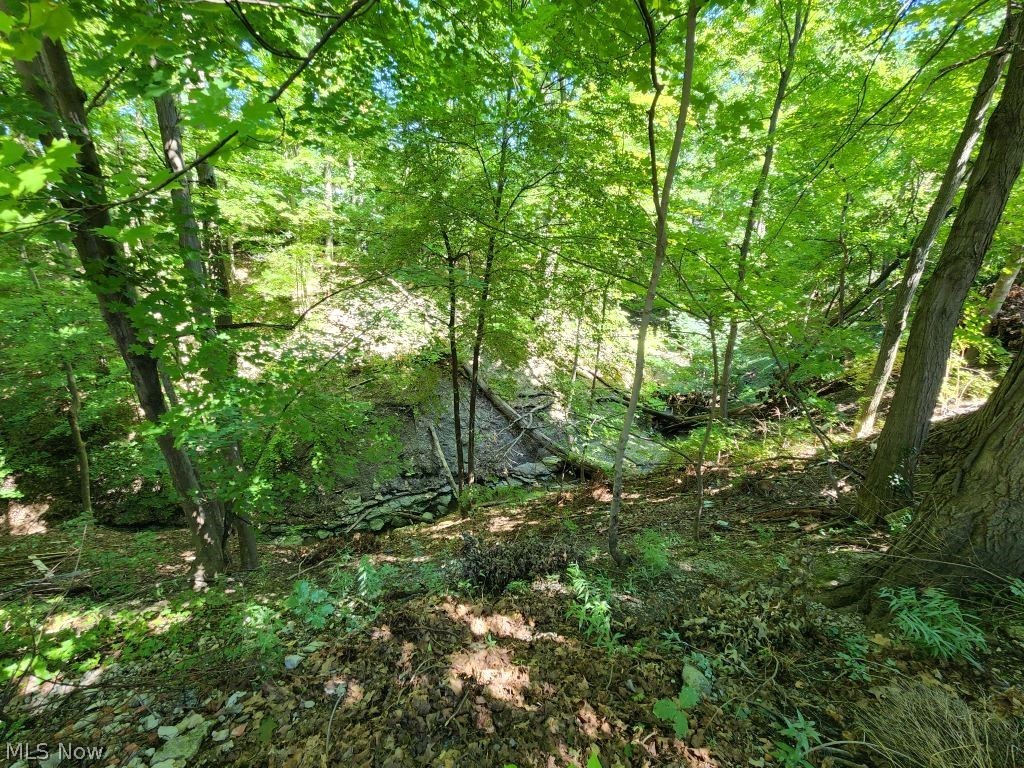 3611 Randolph Road Cleveland Heights, OH 44121 - Photo 4 of 26