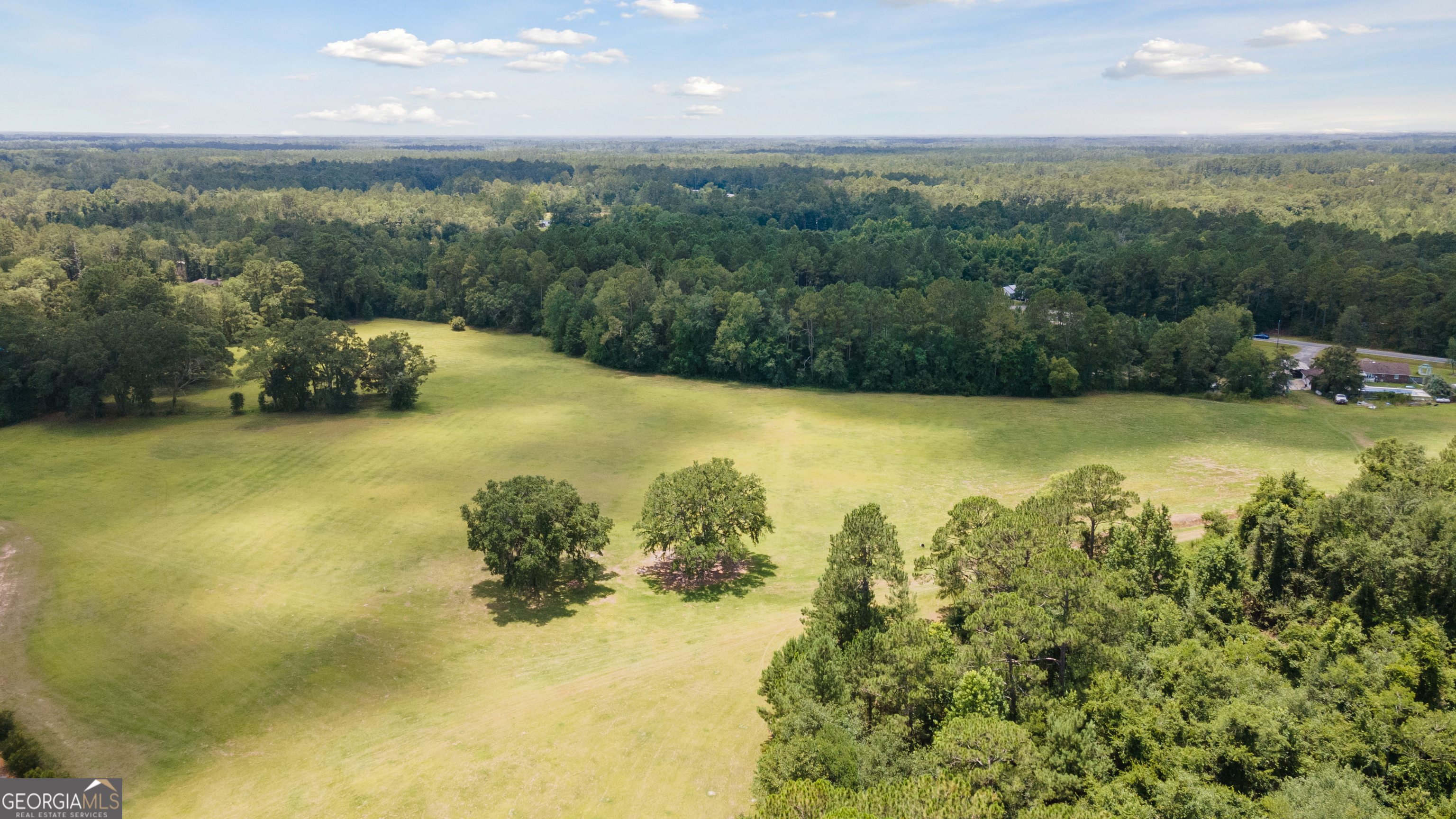 35-acres 35-acres Wells Road Hinesville, GA 31313 - Photo 2 of 14 a view of a lake view