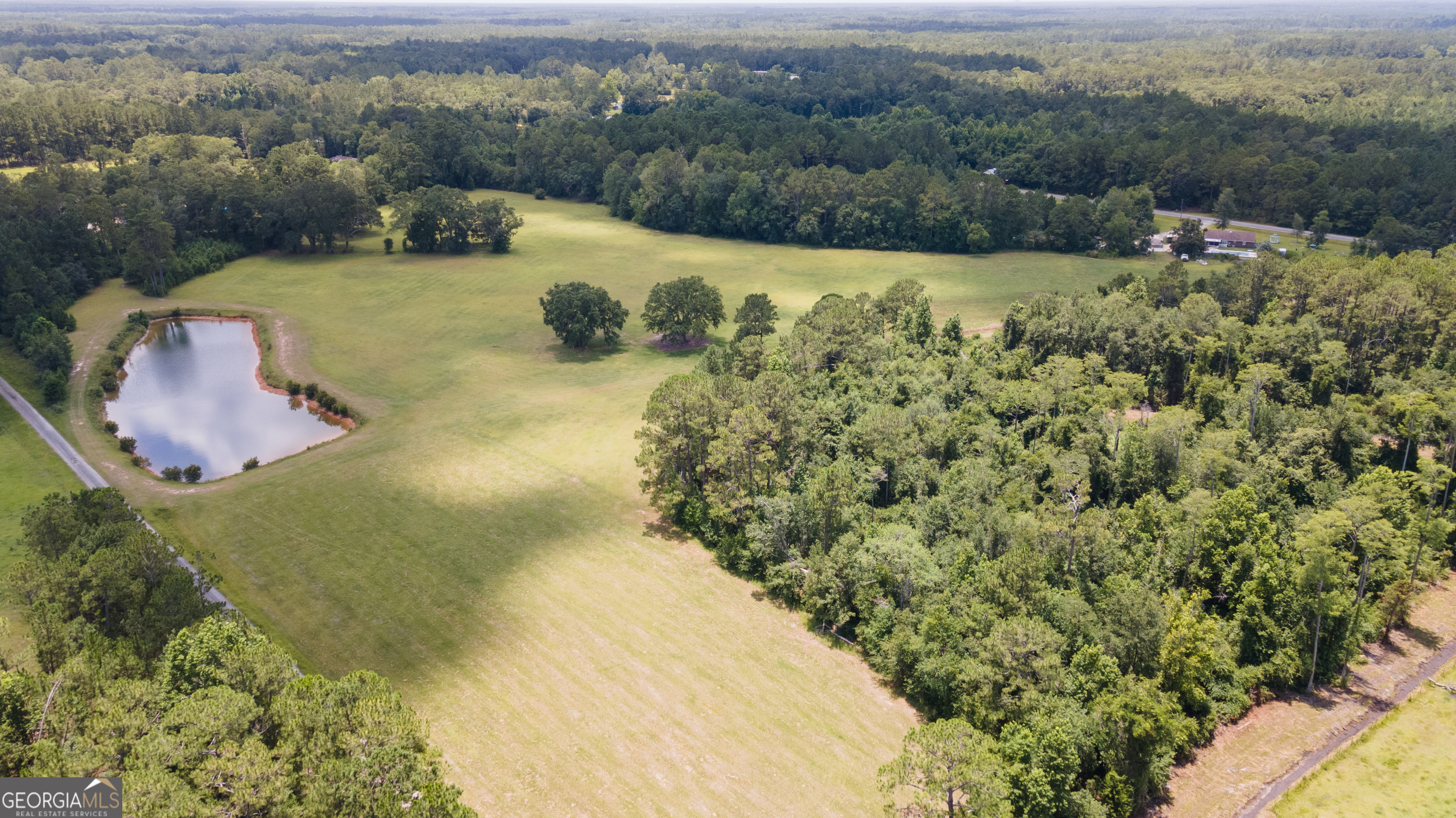 35-acres 35-acres Wells Road Hinesville, GA 31313 - Photo 3 of 14 a view of a swimming pool with a yard