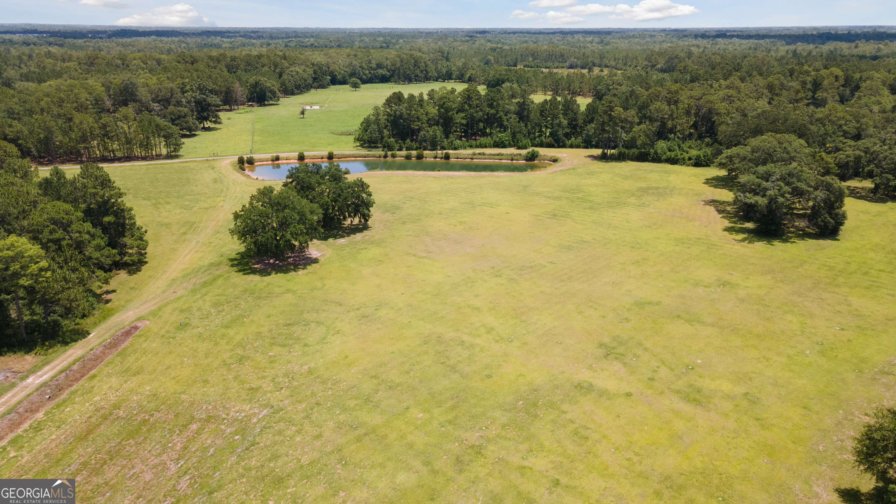 35-acres 35-acres Wells Road Hinesville, GA 31313 - Photo 4 of 14 a view of a lake with a yard