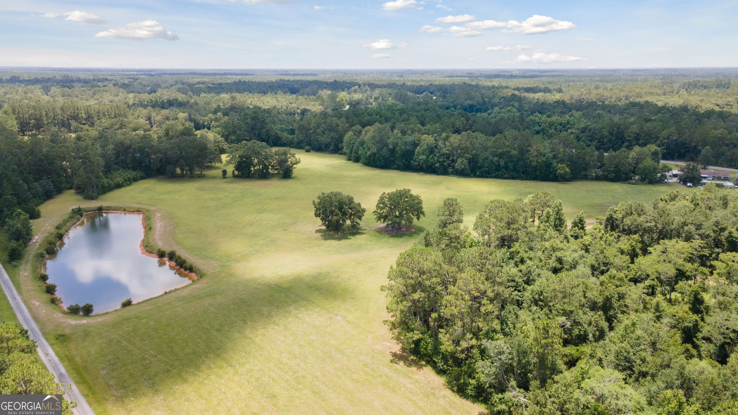 35-acres 35-acres Wells Road Hinesville, GA 31313 - Photo 5 of 14 a view of a lake in middle of the town