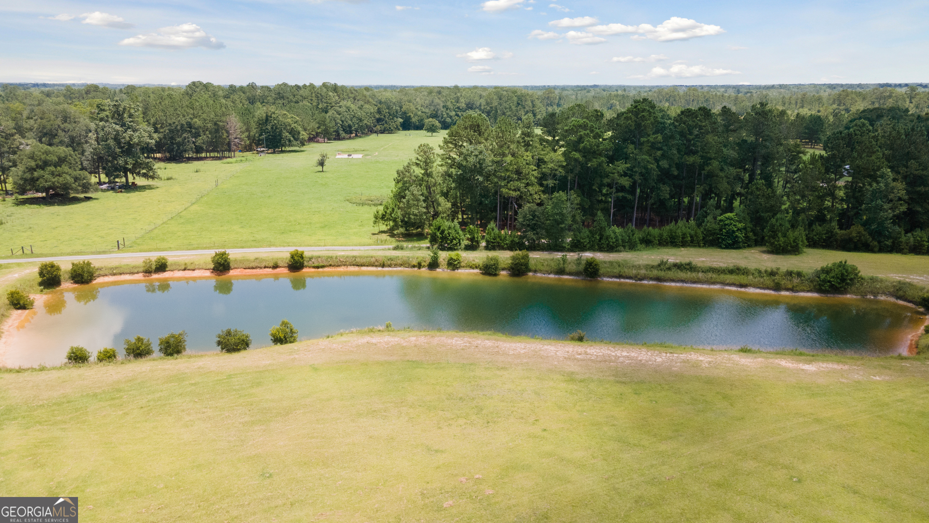 35-acres 35-acres Wells Road Hinesville, GA 31313 - Photo 7 of 14 a view of a lake