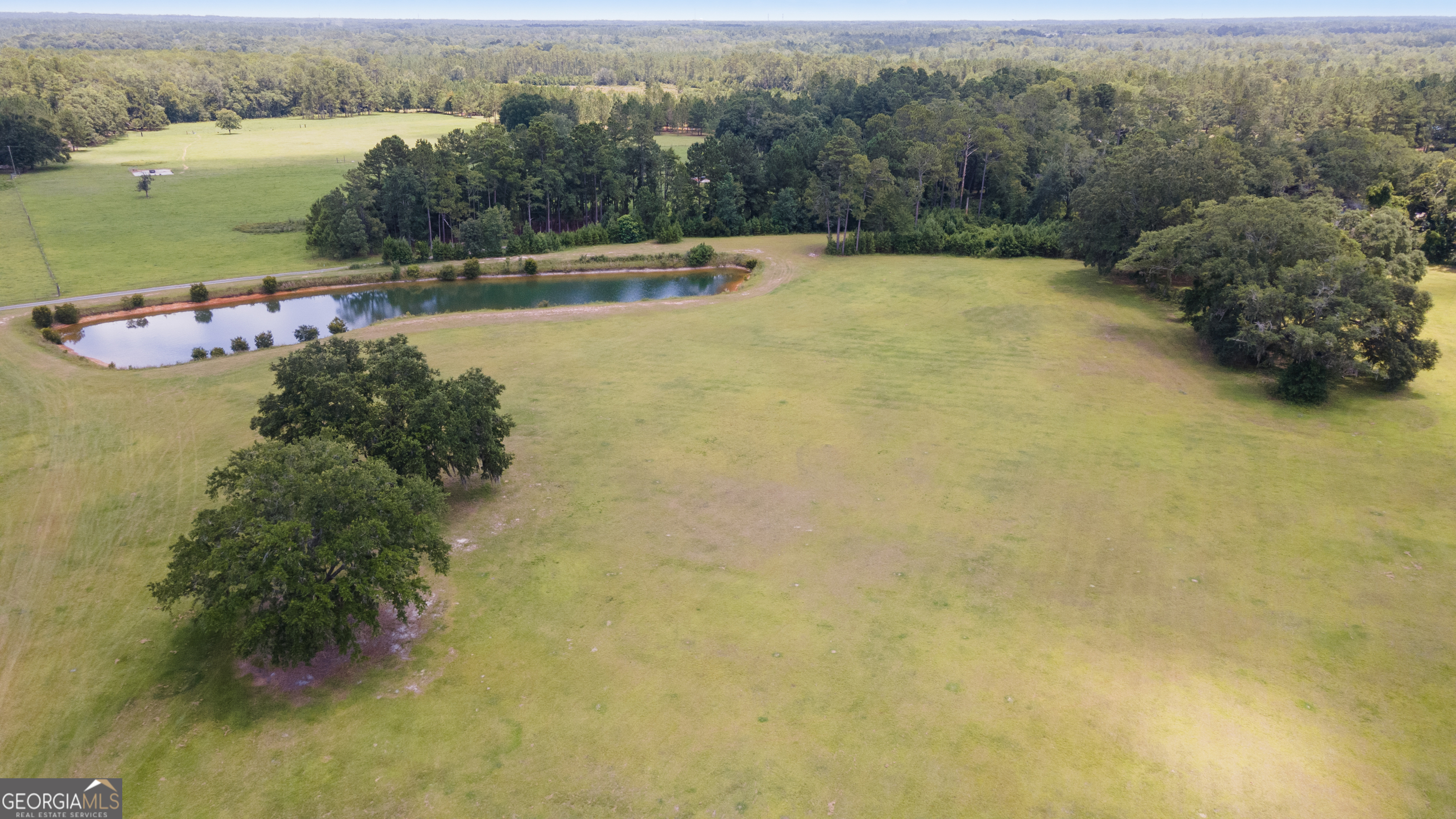 35-acres 35-acres Wells Road Hinesville, GA 31313 - Photo 8 of 14 a view of a lake with a yard