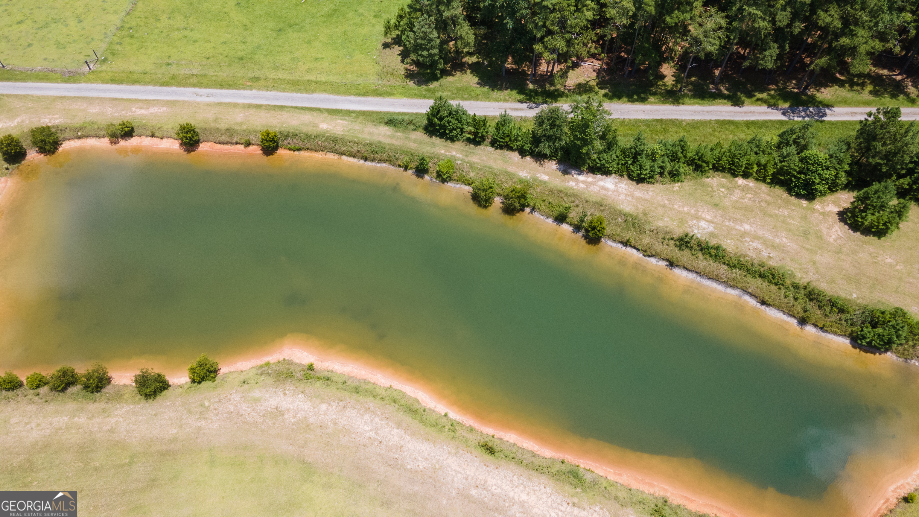 35-acres 35-acres Wells Road Hinesville, GA 31313 - Photo 9 of 14 a view of a lake from a yard