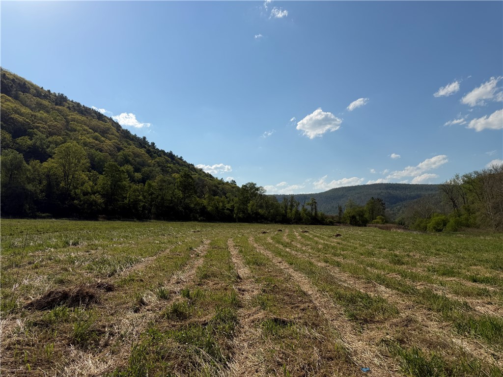 Lot 3 McChesney Road Cameron, NY 14819 - Photo 11 of 21