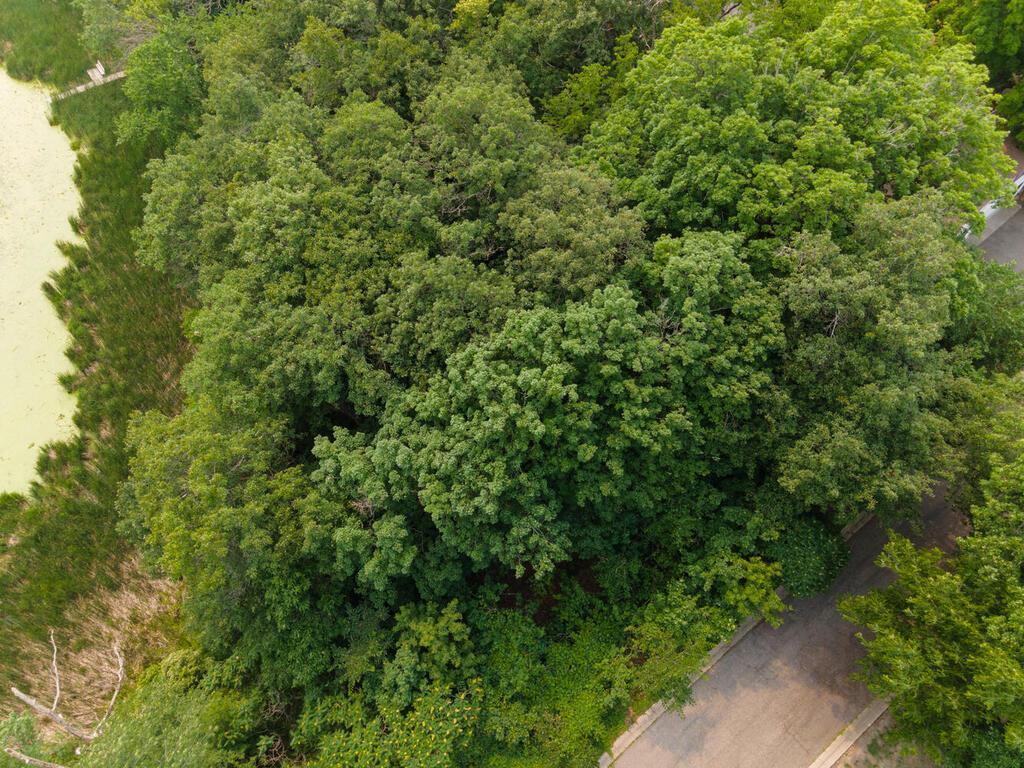 5103 Windsor Road Mound, MN 55364 - Photo 5 of 11