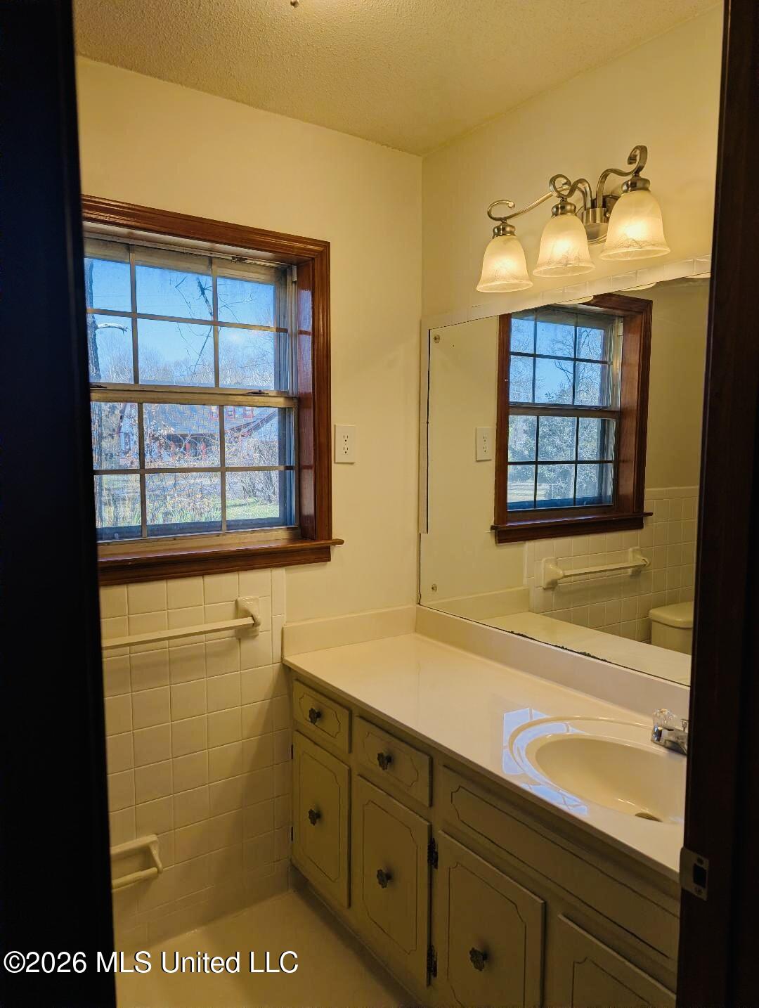 5656 Coleman Road Olive Branch, MS 38654 - Photo 35 of 42 Primary Bath Vanity