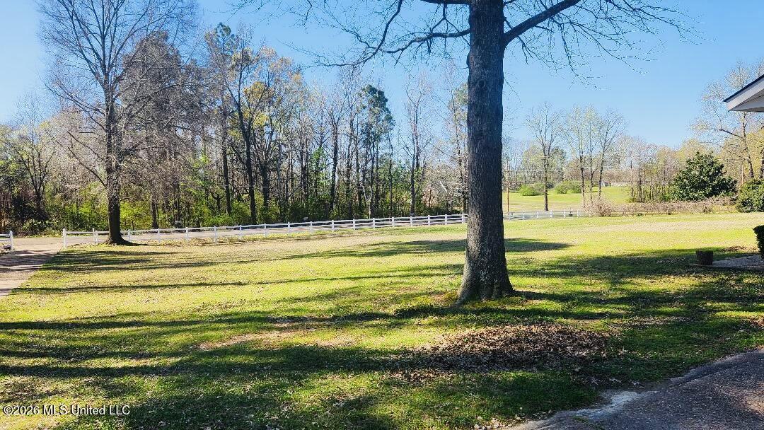 5656 Coleman Road Olive Branch, MS 38654 - Photo 4 of 42 View from home to private cul de sac