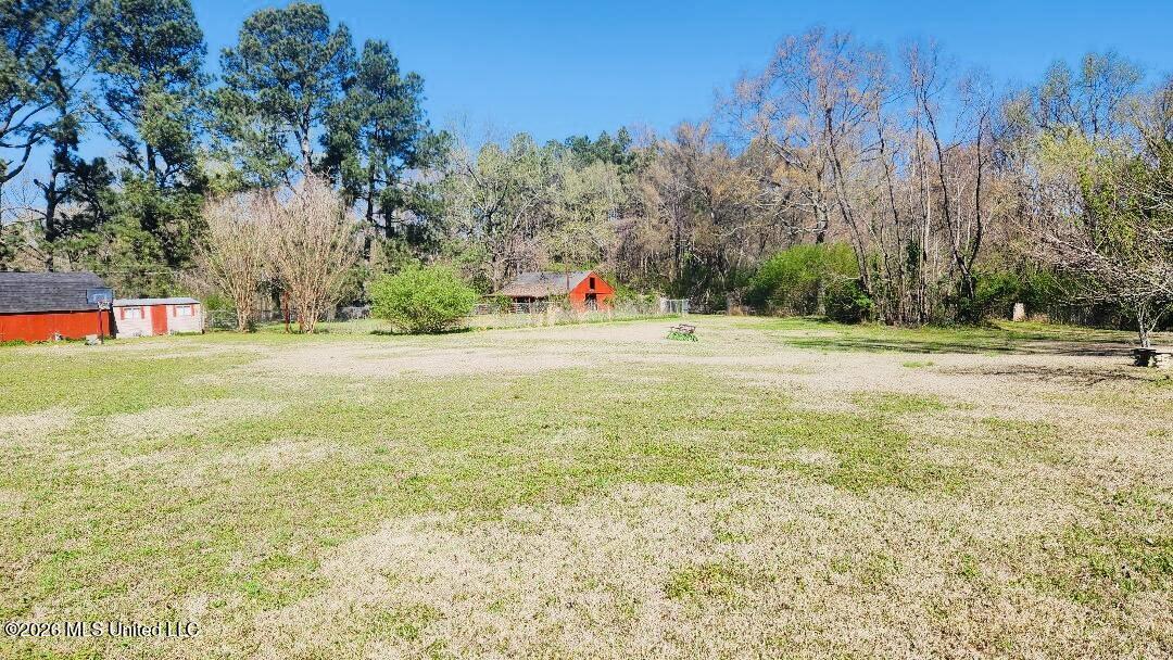 5656 Coleman Road Olive Branch, MS 38654 - Photo 5 of 42 View from house to backyard