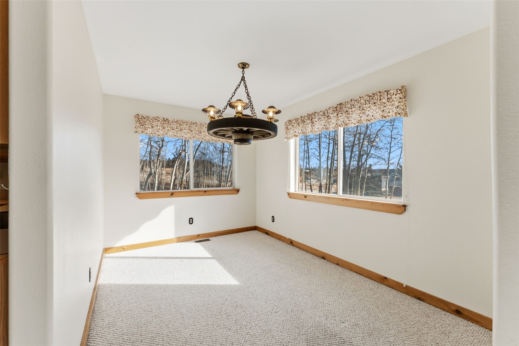 316 3rd Street Fairplay, CO 80440 - Photo 5 of 37
