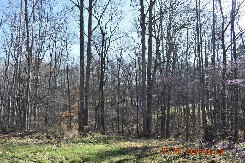 6640 Lake Brandt Road Summerfield, NC 27358 - Photo 20 of 20