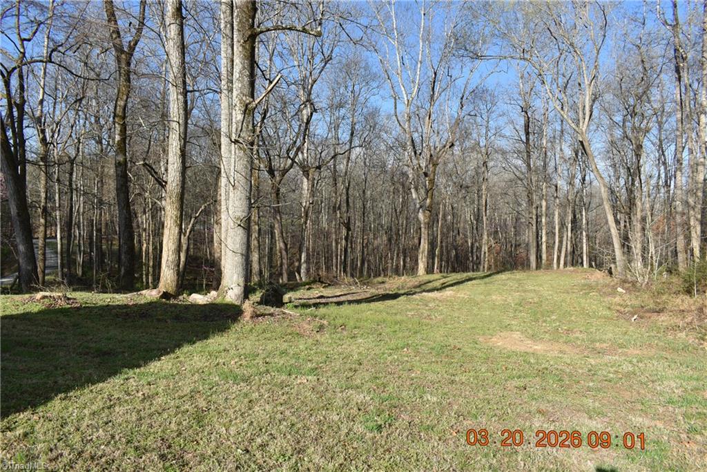6640 Lake Brandt Road Summerfield, NC 27358 - Photo 2 of 20
