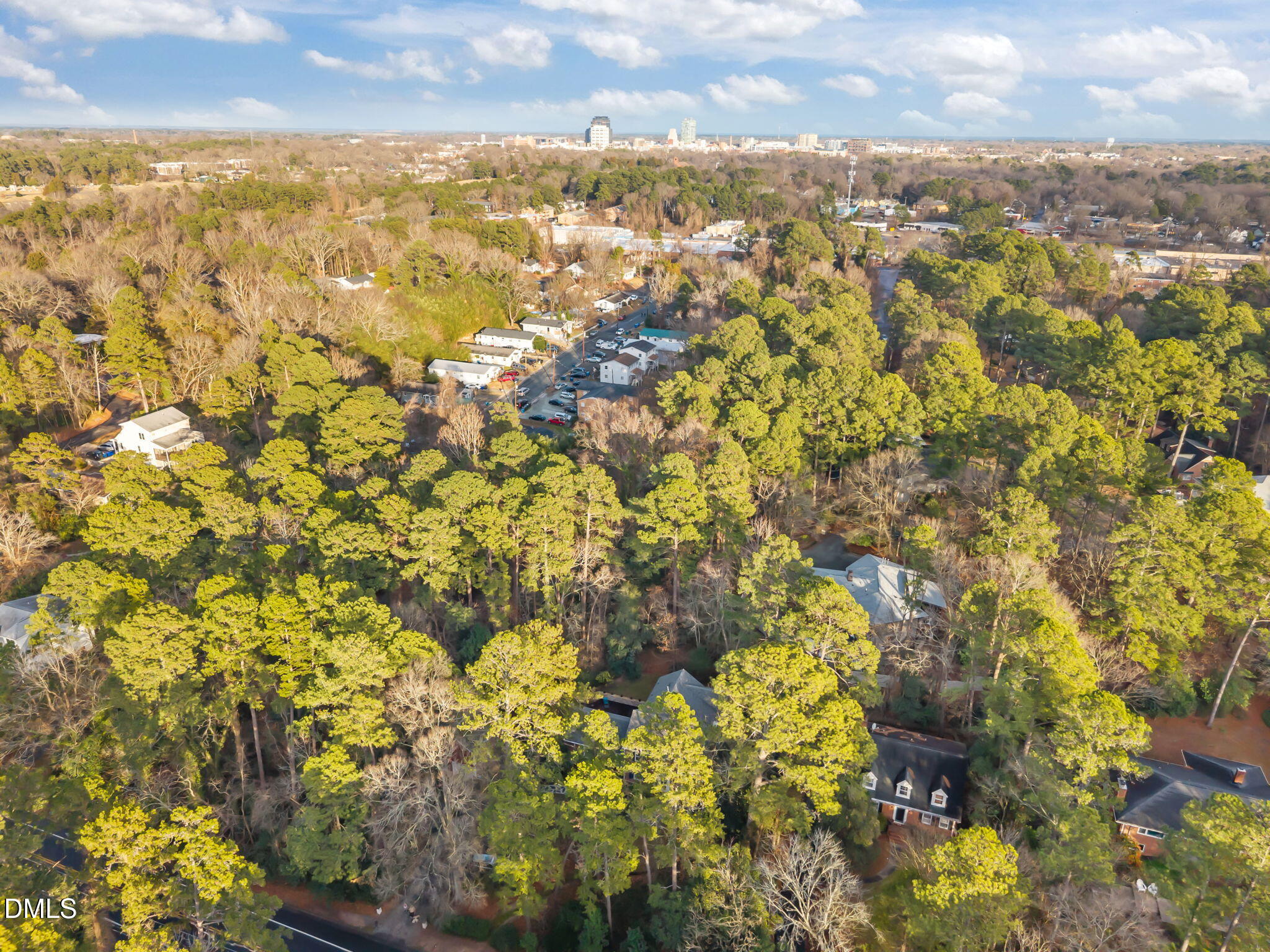 1121 Anderson Street Durham, NC 27705 - Photo 23 of 59 view of city and green space