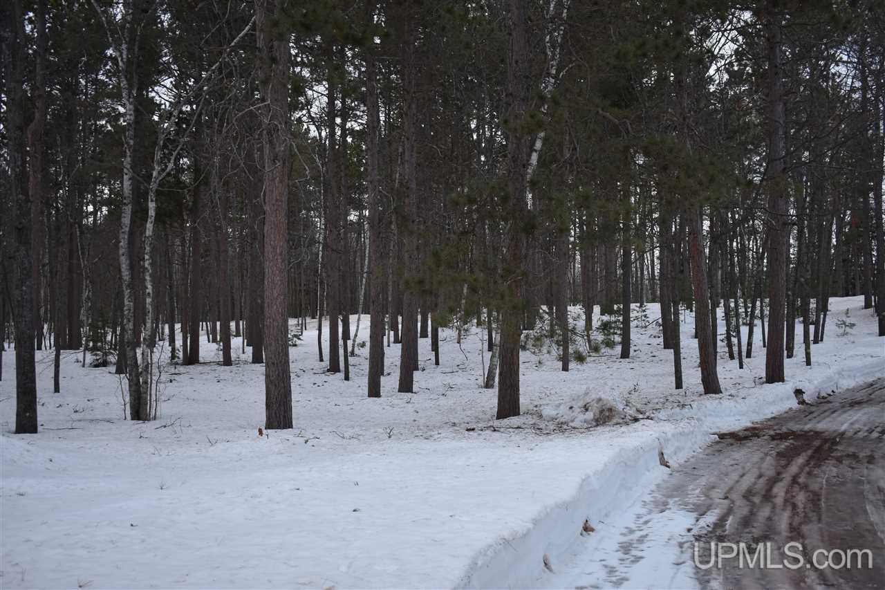 180 Co Road Negaunee, MI 49866 - Photo 12 of 50