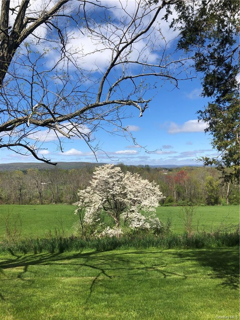 90 Onderdonk Road Warwick, NY 10990 - Photo 27 of 32 Flowering trees and orchard and sunny views!!