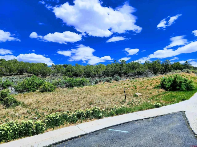 a view of a bunch of flower plants and wooden fence