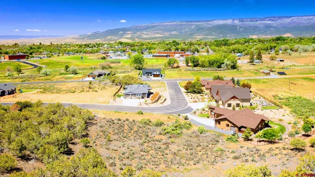 a view of a city with an ocean