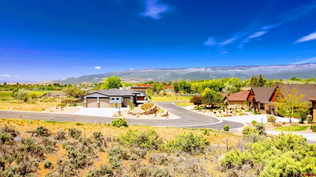 a view of a yard covered in snow