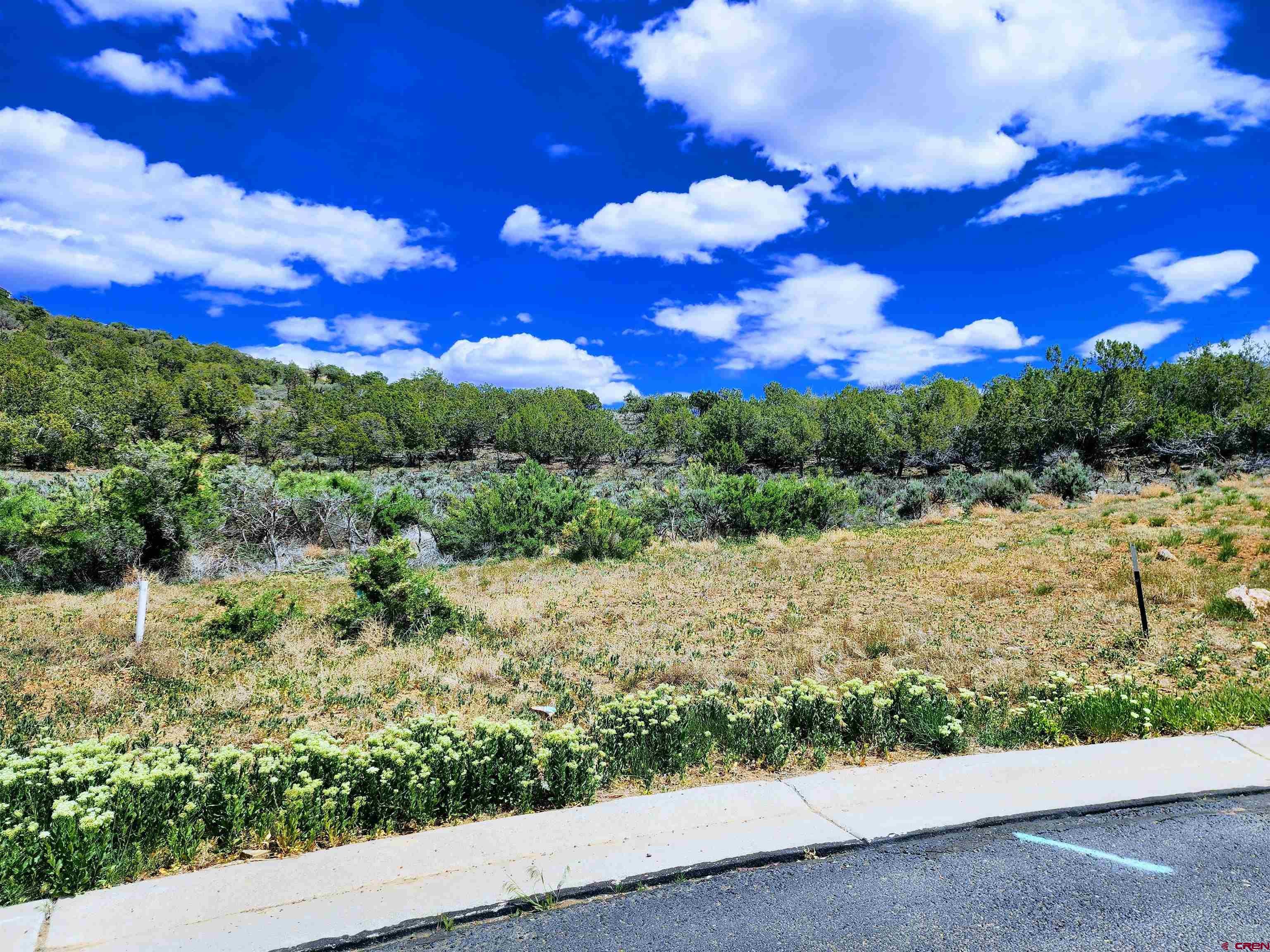 605-615 Southeast Pine Street Cedaredge, CO 81413 - Photo 2 of 18 a view of a lake with a yard