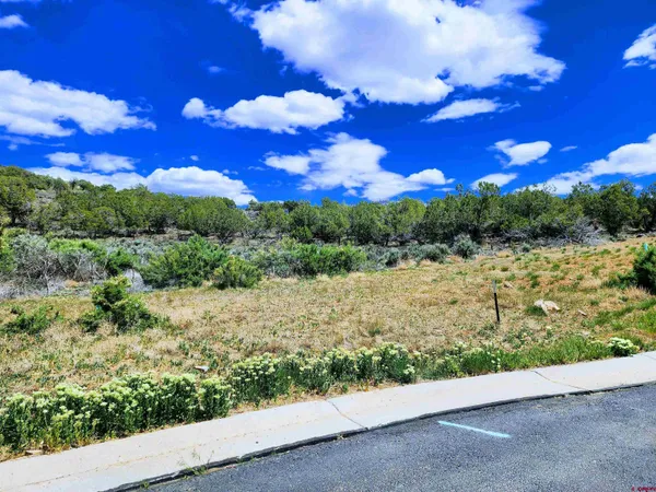 a view of a lake with a mountain in the background