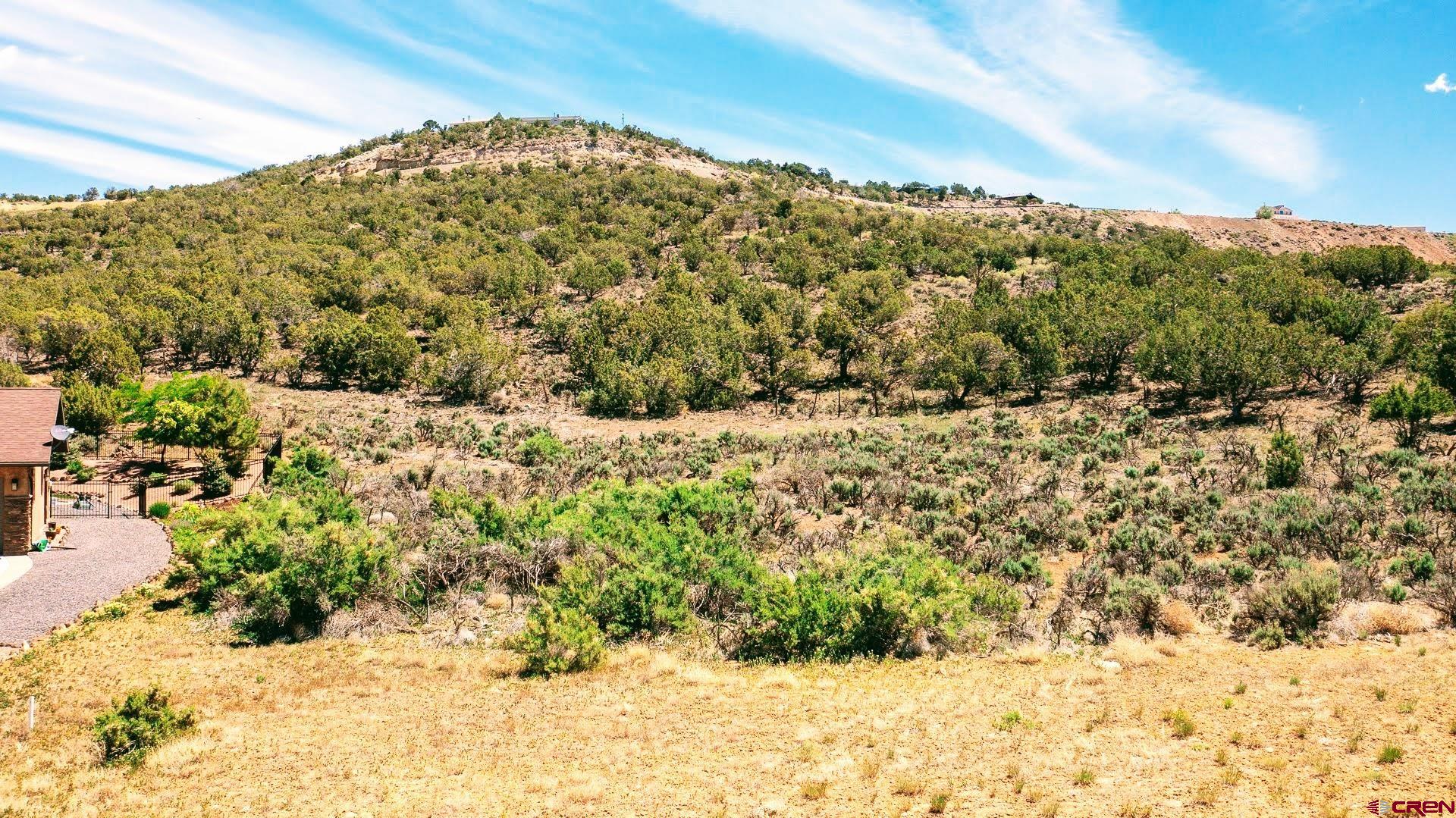 605-615 Southeast Pine Street Cedaredge, CO 81413 - Photo 5 of 18