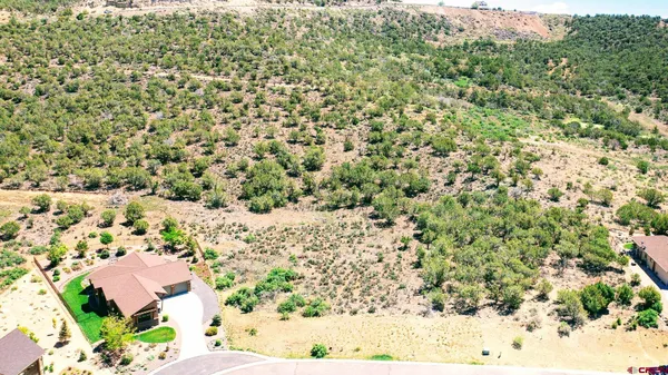a view of a yard with a tree
