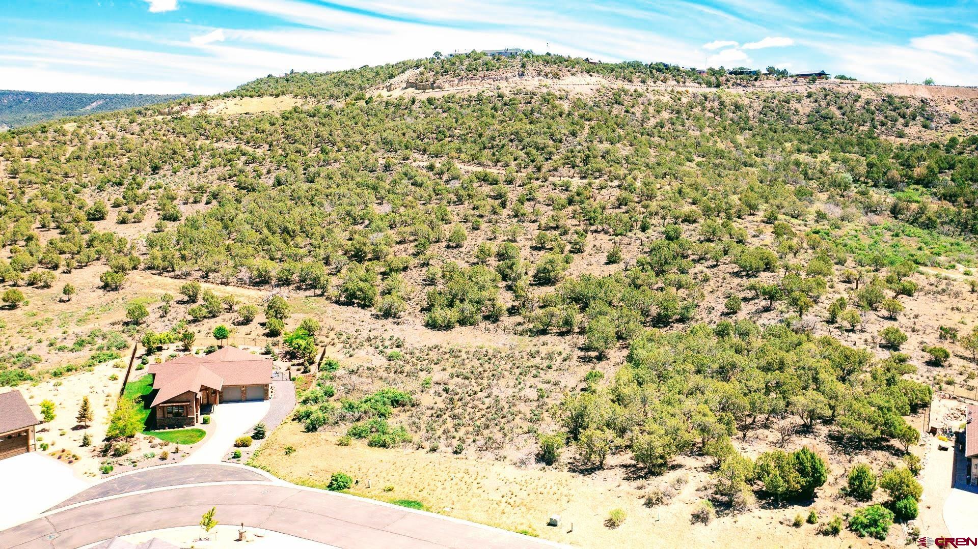 605-615 Southeast Pine Street Cedaredge, CO 81413 - Photo 9 of 18 a view of a yard