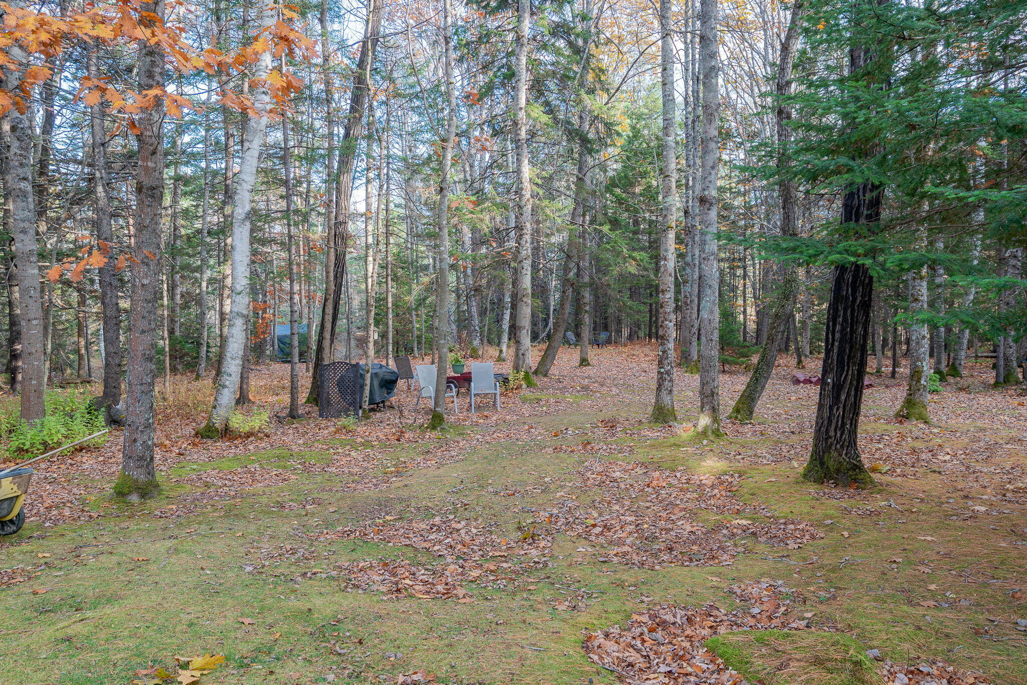 41 Spruce Cove Road Harpswell, ME 04079 - Photo 51 of 54 15-web-or-mls-41 Spruce Brook Dr19