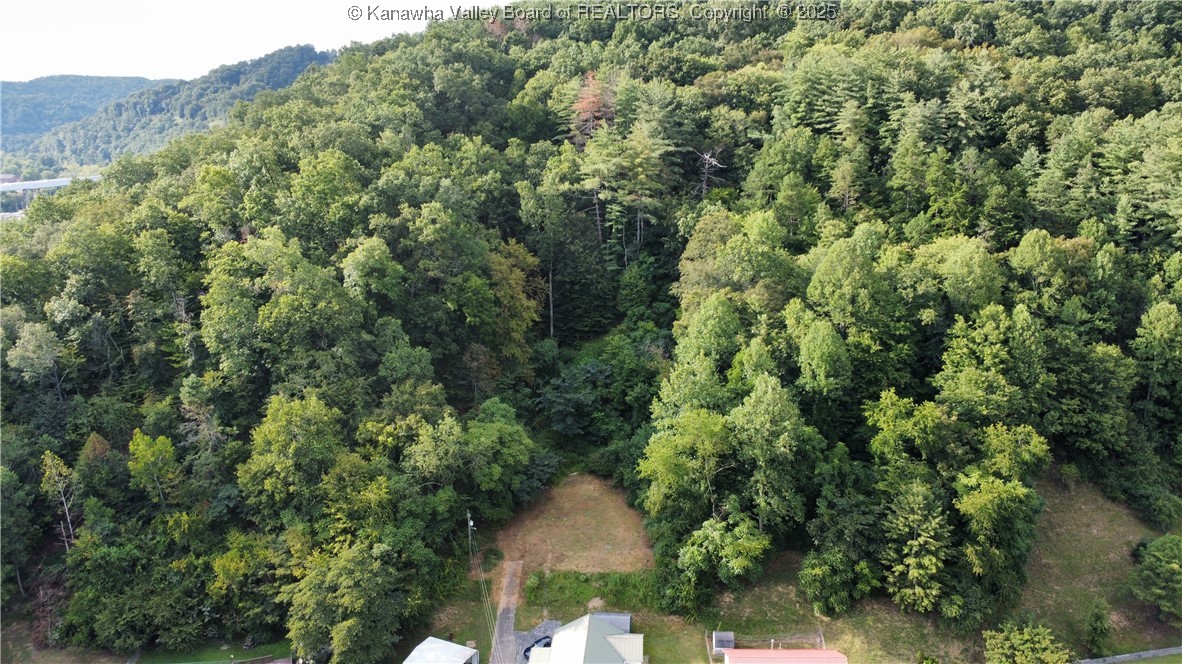 0 Price Branch Road Danville, WV 25053 - Photo 2 of 8 Gallery Image 2