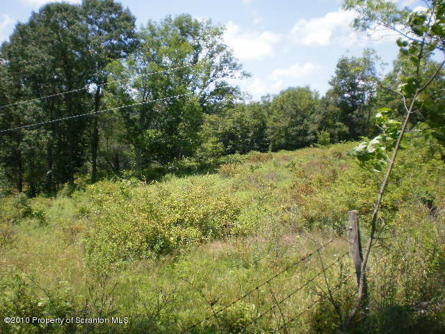 0 East Lynn & West Nicholson Roads Springville, PA 18844 - Photo 1 of 4 a view of a yard