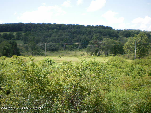 0 East Lynn & West Nicholson Roads Springville, PA 18844 - Photo 3 of 4 a view of a lush green forest with a mountain