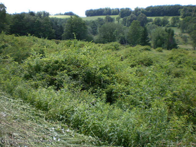 0 East Lynn & West Nicholson Roads Springville, PA 18844 - Photo 4 of 4 a view of a lush green forest with trees and some houses
