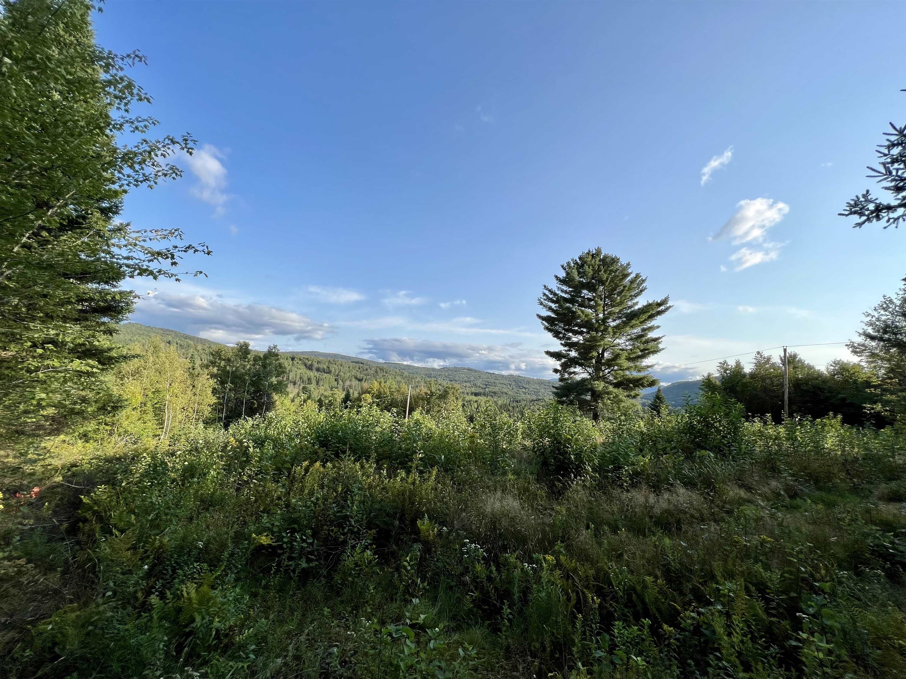 Lot 5 Gulch Brook Road, Unit 5 Stewartstown, NH 03576 - Photo 4 of 7 Gallery Image 4