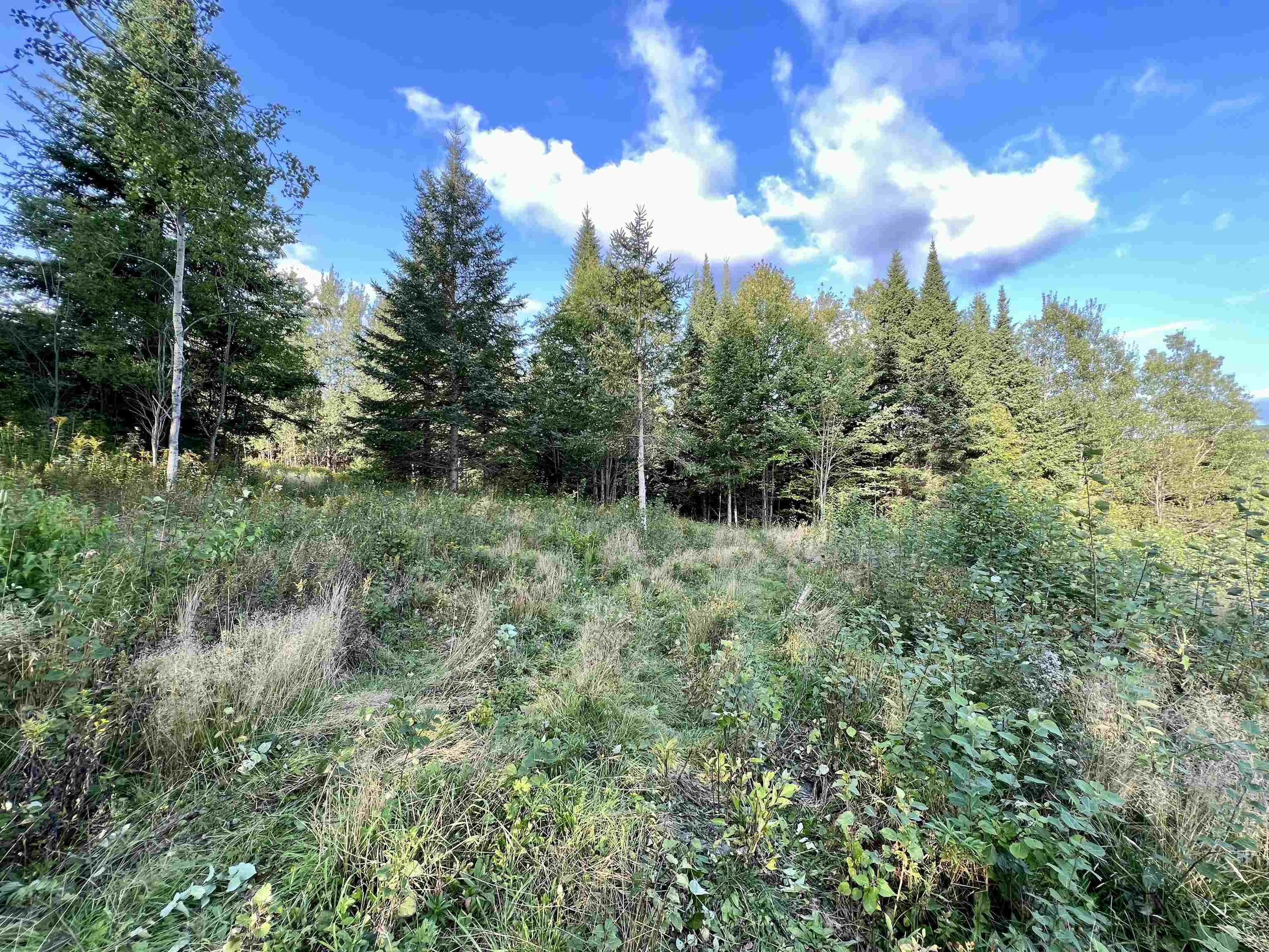 Lot 5 Gulch Brook Road, Unit 5 Stewartstown, NH 03576 - Photo 5 of 7 Gallery Image 5