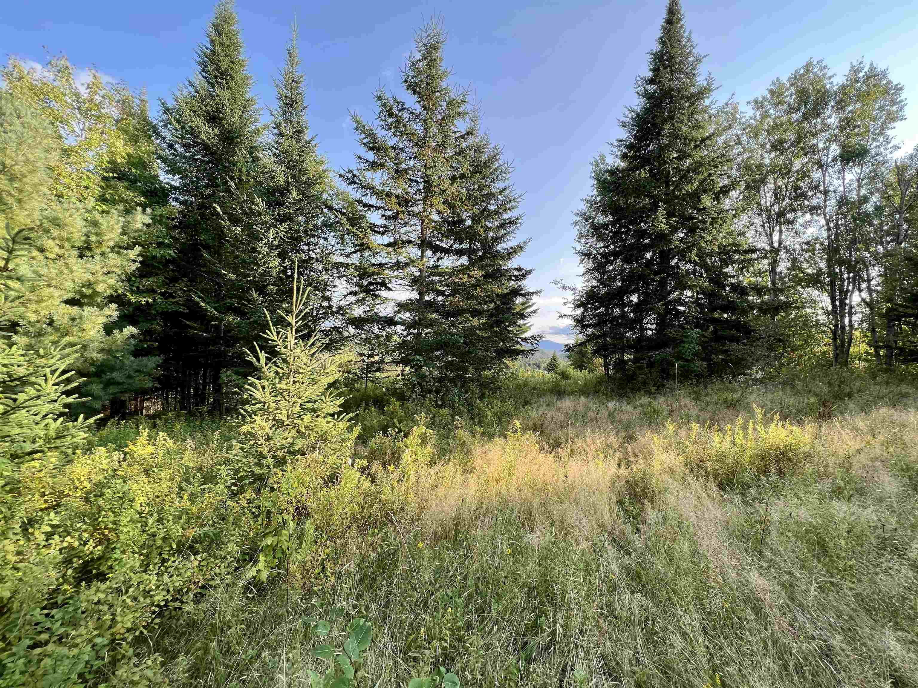 Lot 5 Gulch Brook Road, Unit 5 Stewartstown, NH 03576 - Photo 6 of 7 Gallery Image 6
