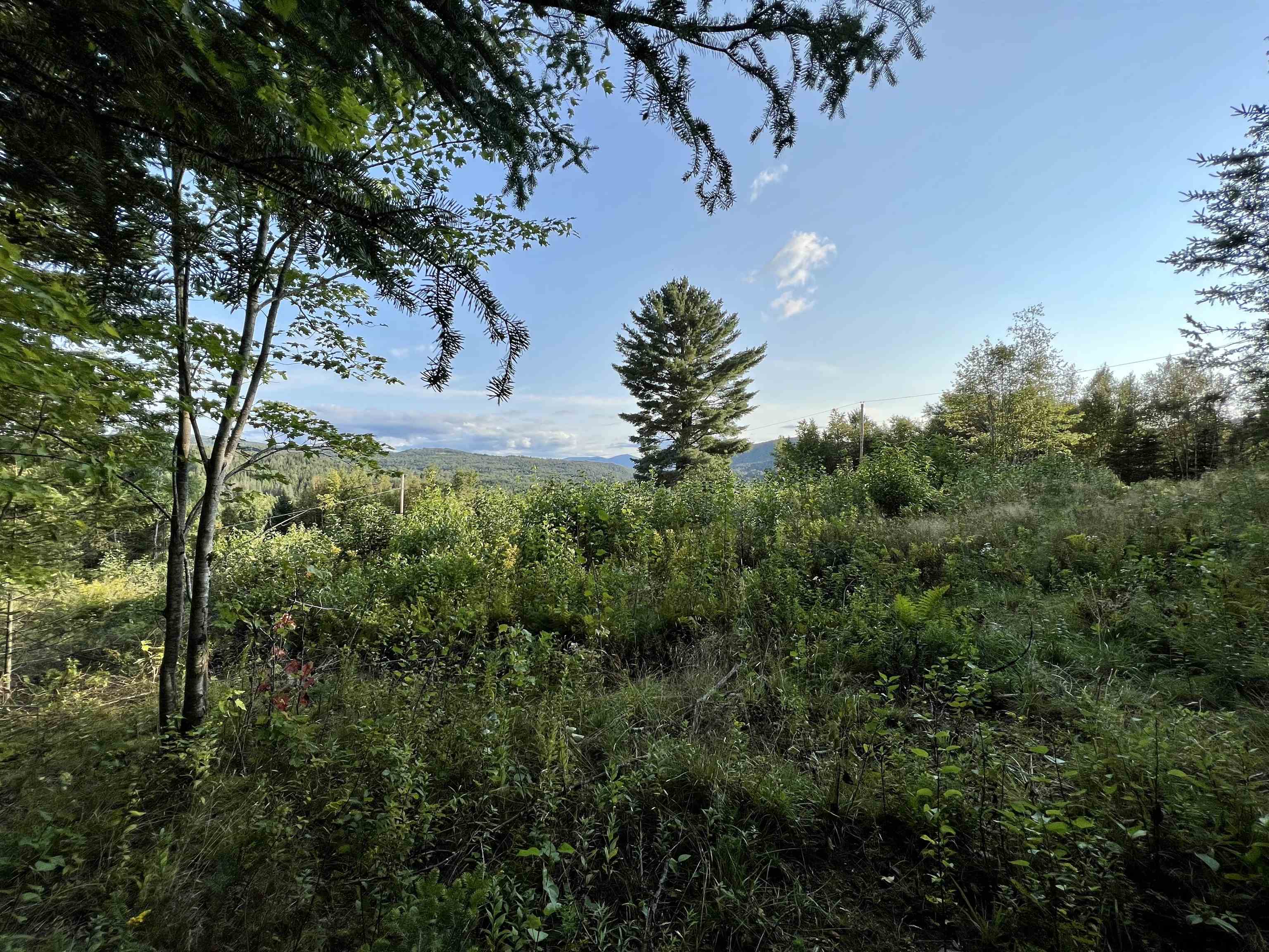 Lot 5 Gulch Brook Road, Unit 5 Stewartstown, NH 03576 - Photo 7 of 7 Gallery Image 7