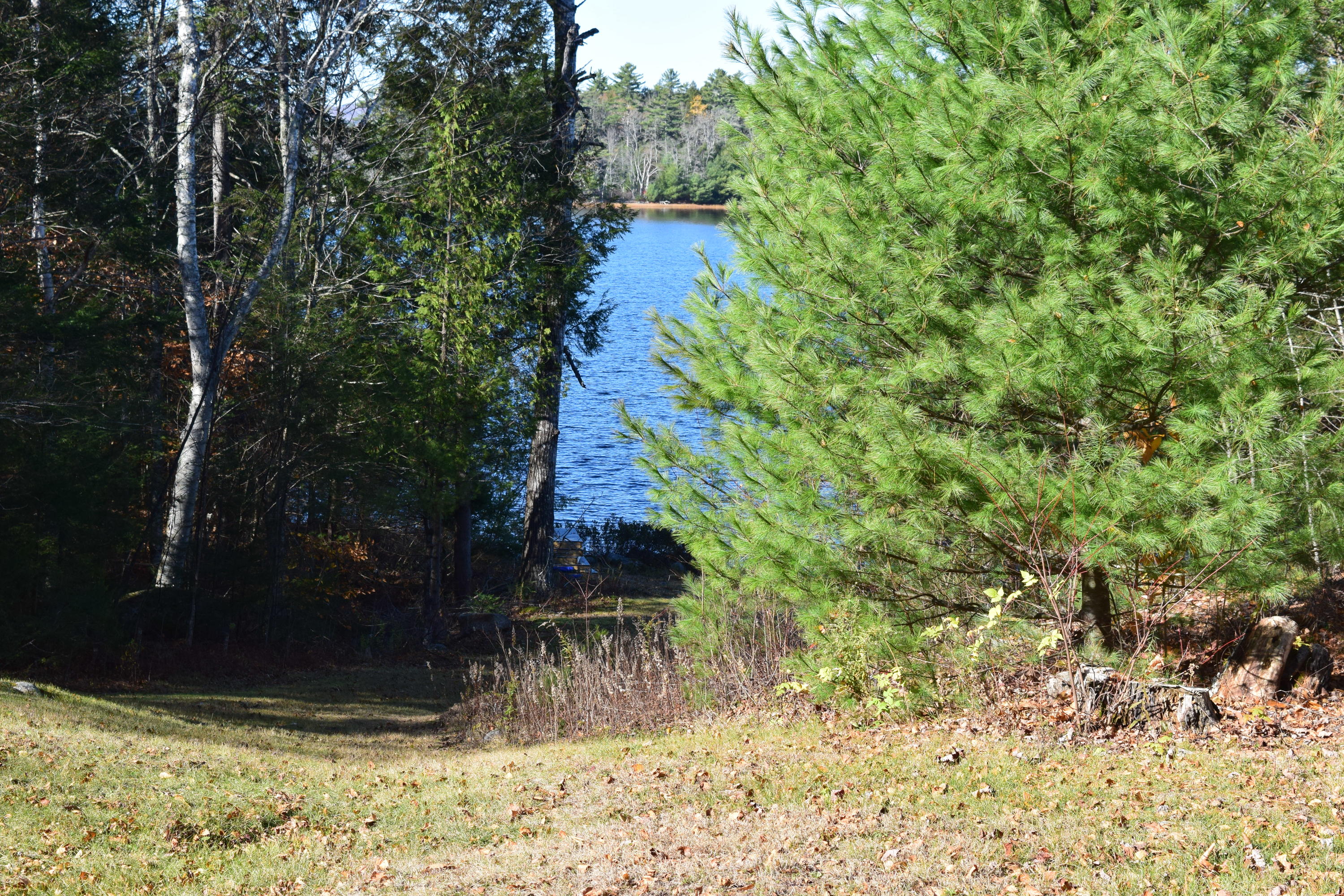 346 Patten Pond Road Surry, ME 04684 - Photo 27 of 27 DSC_0149
