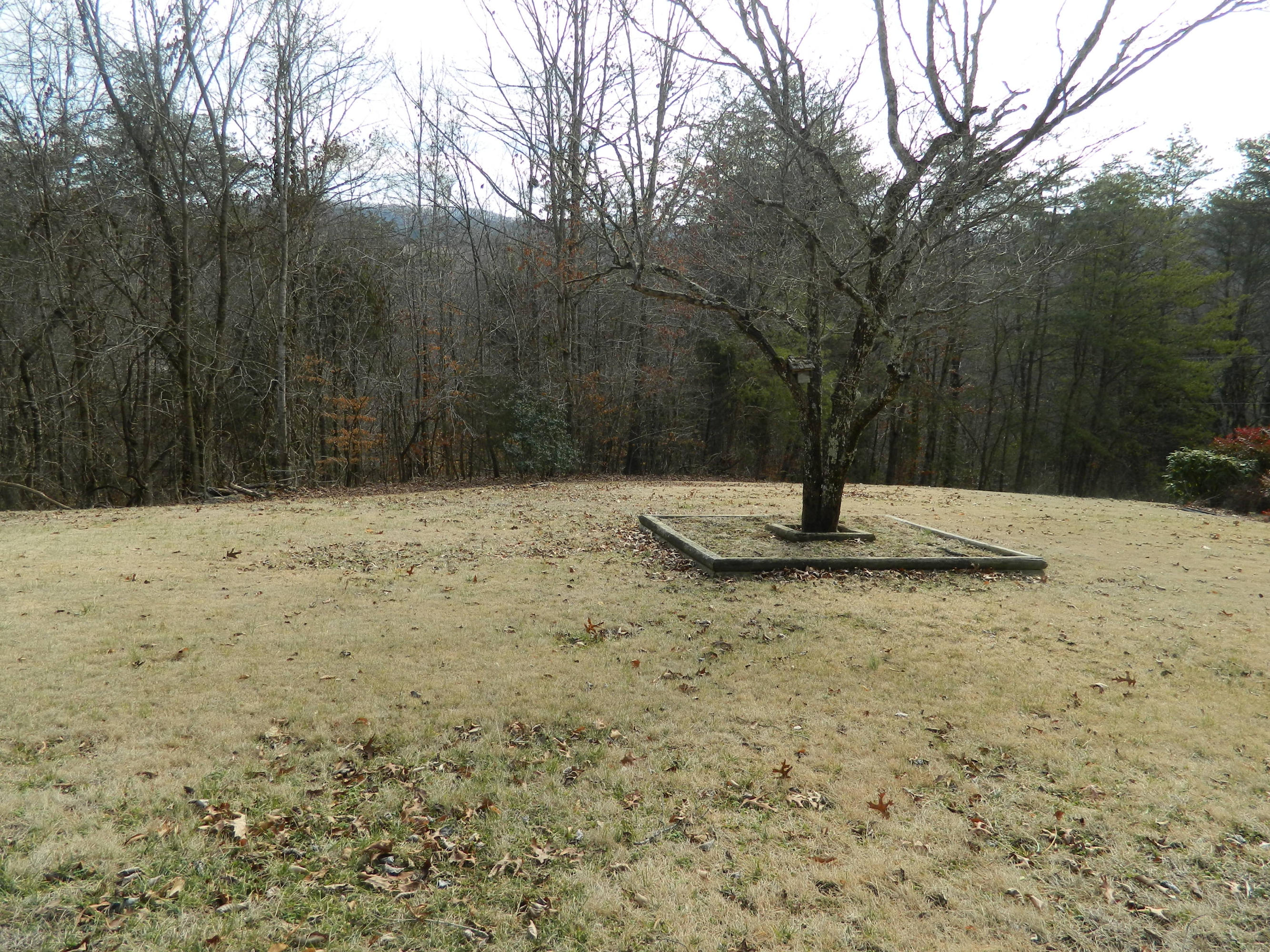 216 Hansard Road Maynardville, TN 37807 - Photo 11 of 11 yard