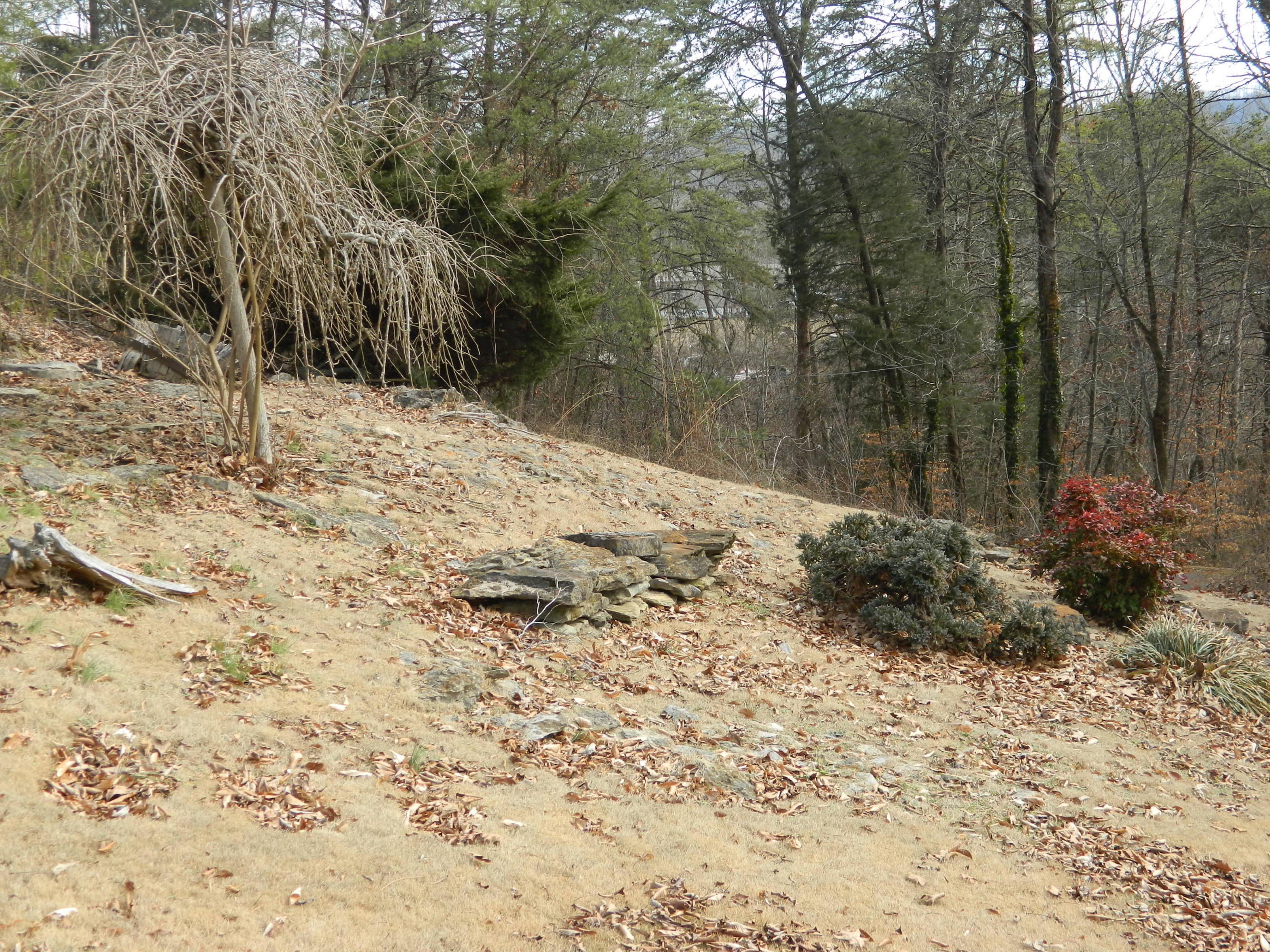 216 Hansard Road Maynardville, TN 37807 - Photo 10 of 11 yard 3