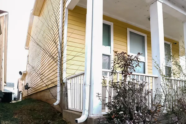 a potted plant sitting in front of a house