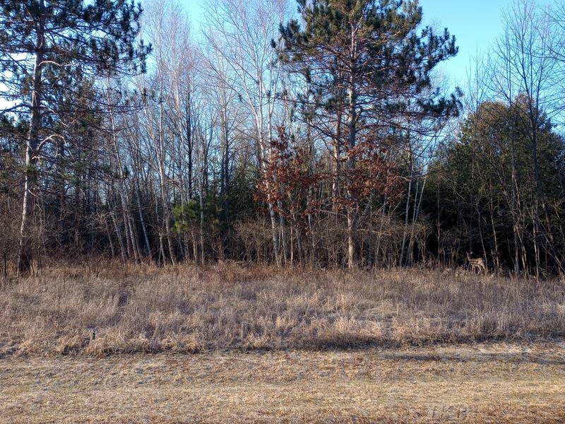 Lot 5 Castleview Gladwin, MI 48624 - Photo 4 of 9